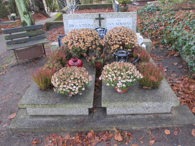 Zdzisław STROJNY 1931 Sopot - Grobonet - Wyszukiwarka osób pochowanych