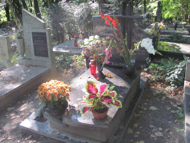 Grób DANUTA ZOFIA KIEDROWICZ