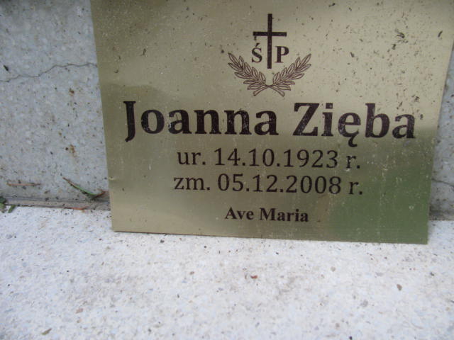 Piotr ZIĘBA 1916 Sopot - Grobonet - Wyszukiwarka osób pochowanych