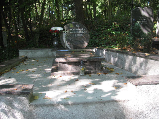 Grób TADEUSZ ZGLENICKI
