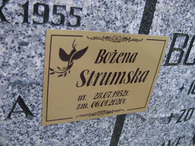 Wacław BOGDANOWICZ 1887 Sopot - Grobonet - Wyszukiwarka osób pochowanych