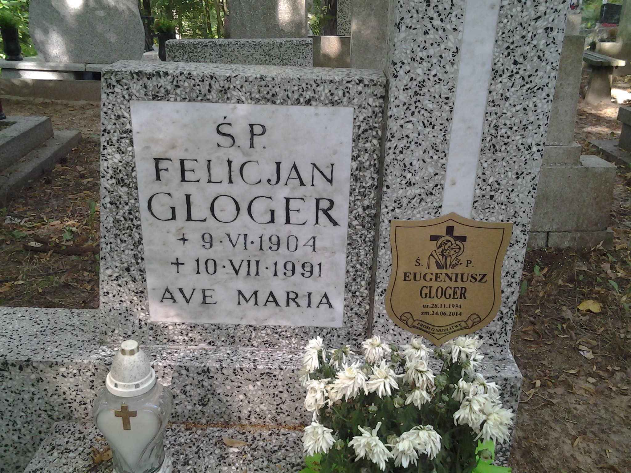 Felicjan GLOGER 1904 Sopot - Grobonet - Wyszukiwarka osób pochowanych