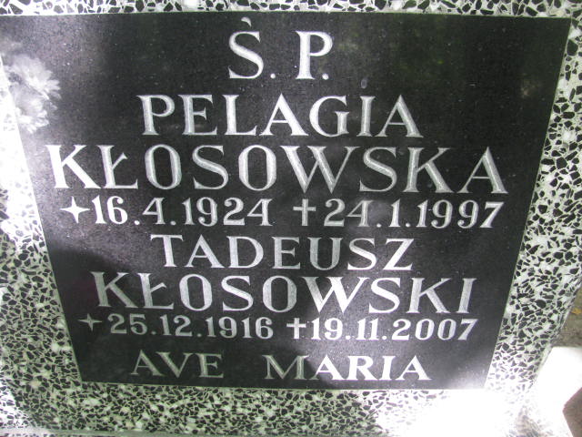 Marek KŁOSOWSKI 1948 Sopot - Grobonet - Wyszukiwarka osób pochowanych