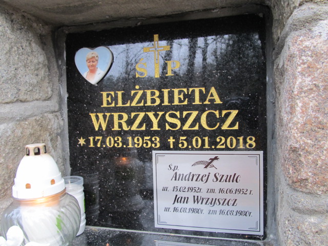 Grób ELŻBIETA WRZYSZCZ