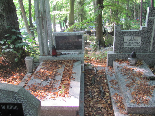 Grób WANDA LIS