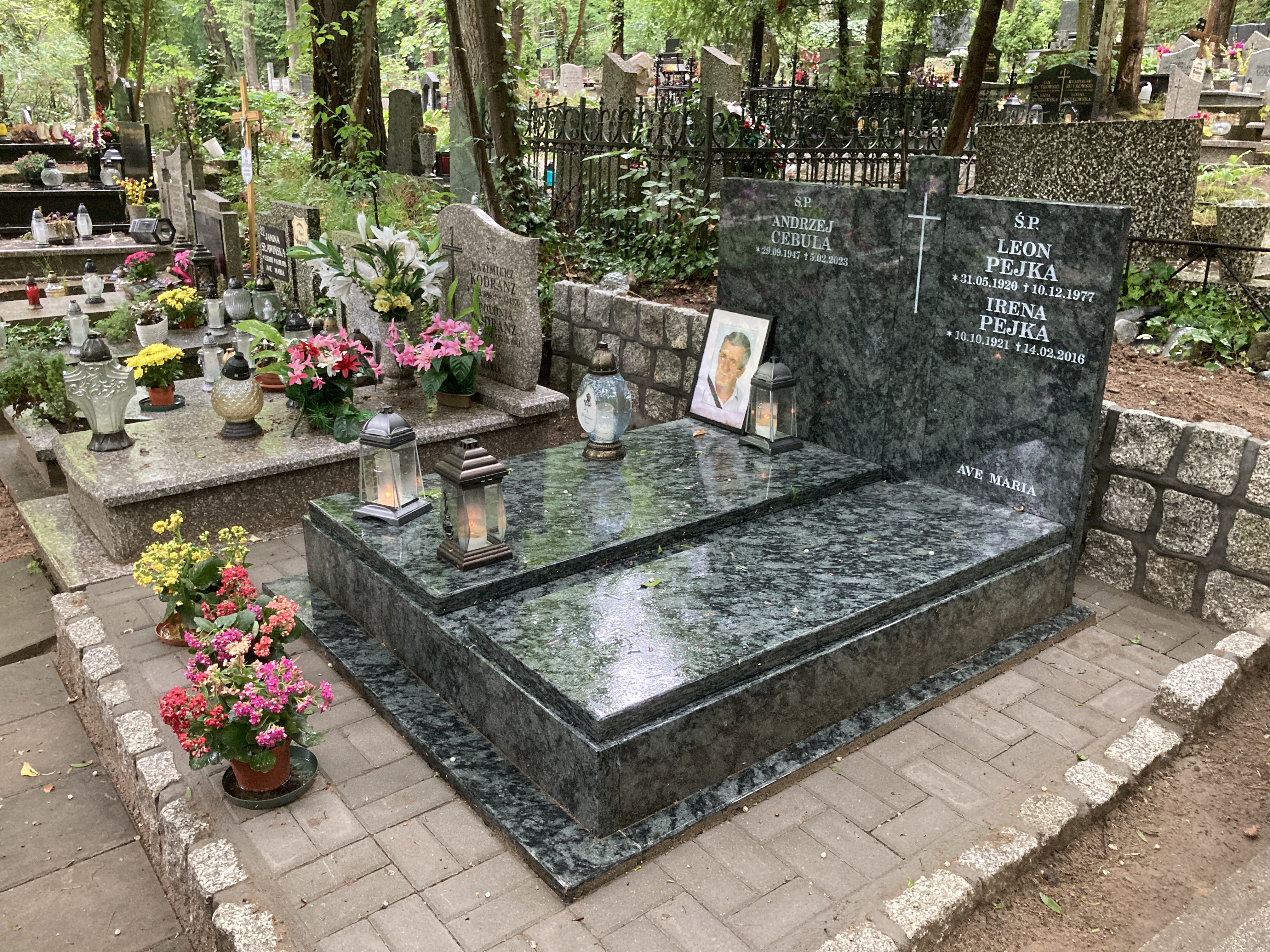 Andrzej CEBULA 1947 Sopot - Grobonet - Wyszukiwarka osób pochowanych