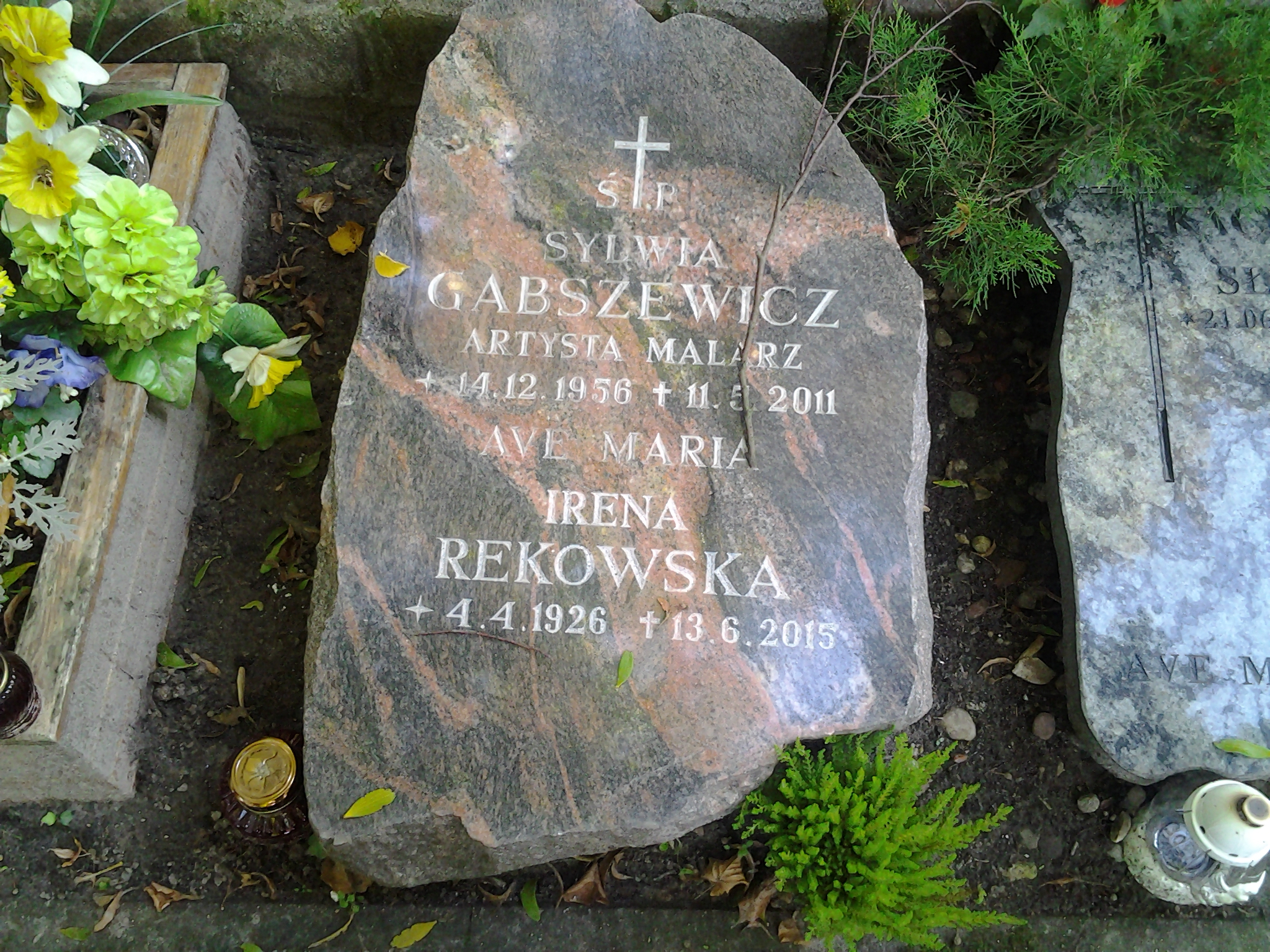 SYLWIA,MAŁGORZATA GABSZEWICZ 1956 Sopot - Grobonet - Wyszukiwarka osób pochowanych