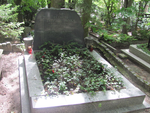 Grób ANDRZEJ TRZEBIATOWSKI