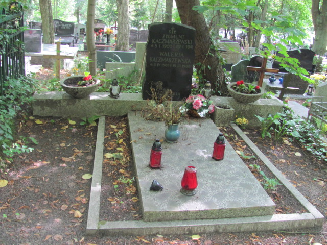 Grób ZYGMUNT KACZMARZEWSKI
