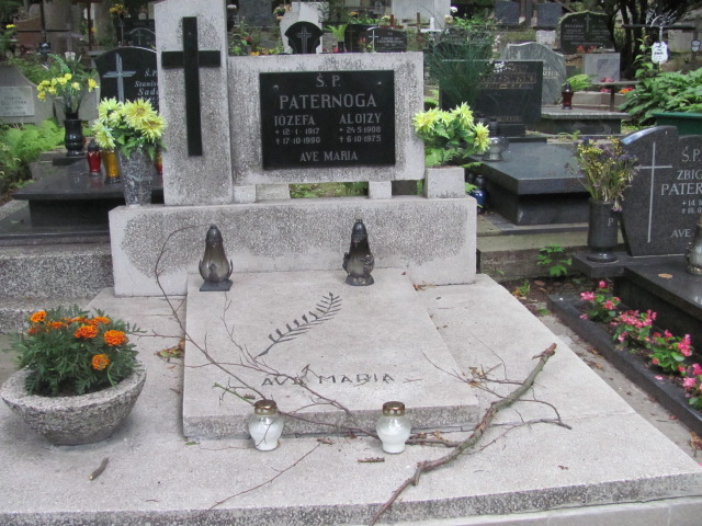 Grób RYSZARD PATERNOGA