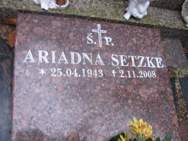 Franciszek GOŁĘBIEWSKI 1928 Sopot - Grobonet - Wyszukiwarka osób pochowanych