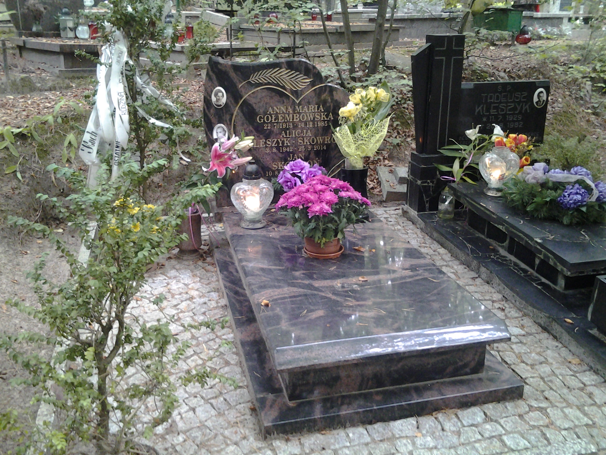 Anna Maria GOŁEMBOWSKA 1913 Sopot - Grobonet - Wyszukiwarka osób pochowanych