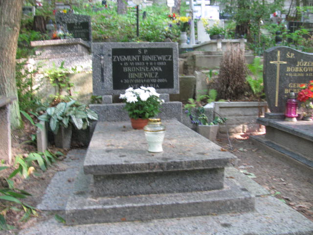 Grób ZYGMUNT BINIEWICZ