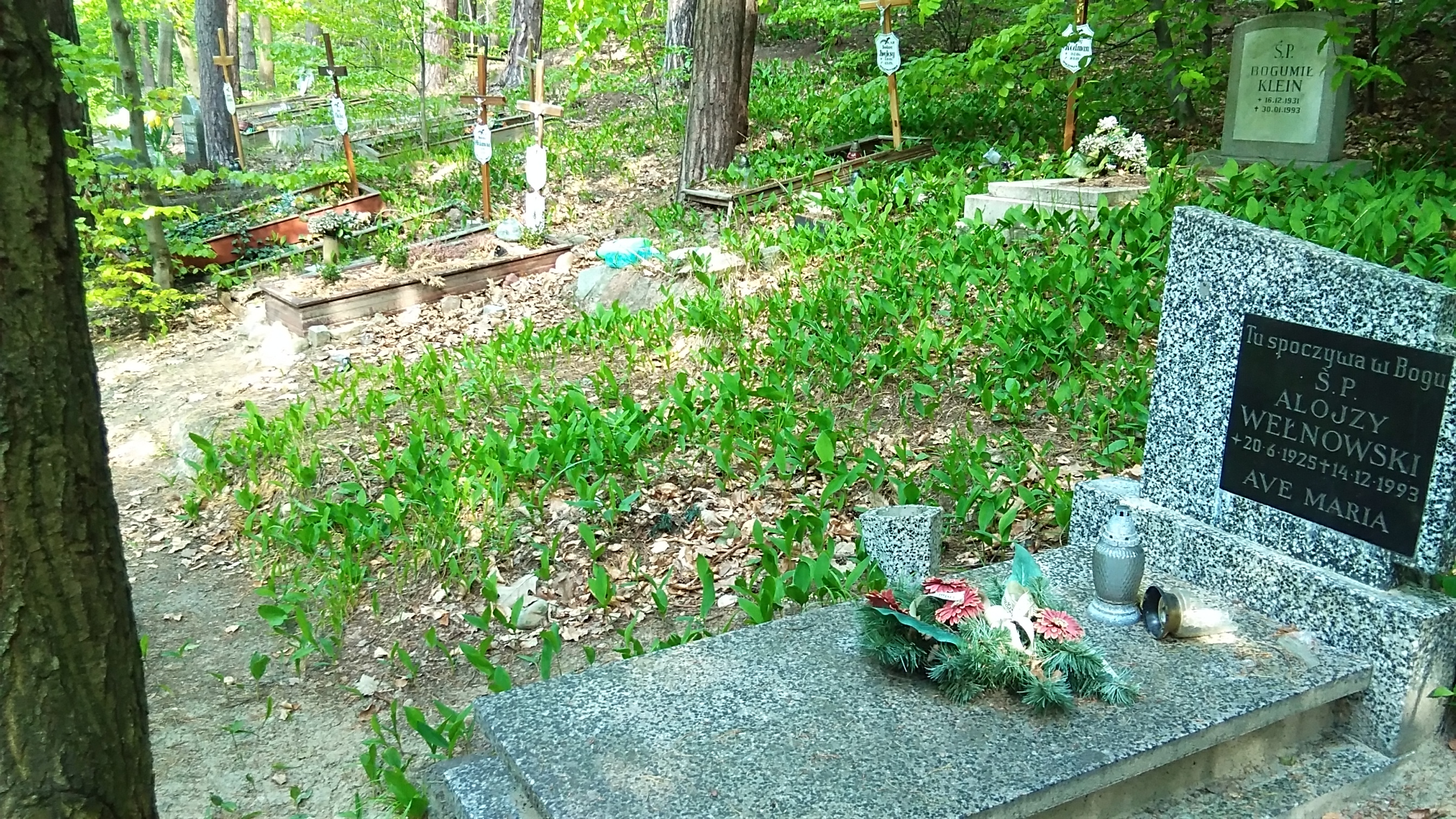 Antoni LAGOWICZ 1915 Sopot - Grobonet - Wyszukiwarka osób pochowanych