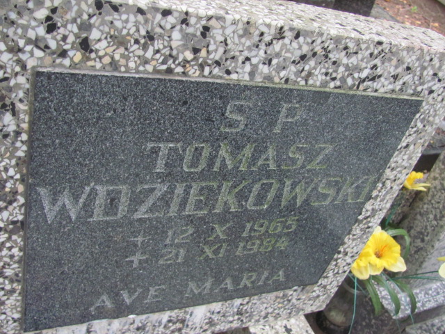 Tomasz WDZIĘKOWSKI 1965 Sopot - Grobonet - Wyszukiwarka osób pochowanych