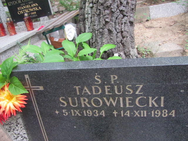 Tadeusz SUROWIECKI 1934 Sopot - Grobonet - Wyszukiwarka osób pochowanych